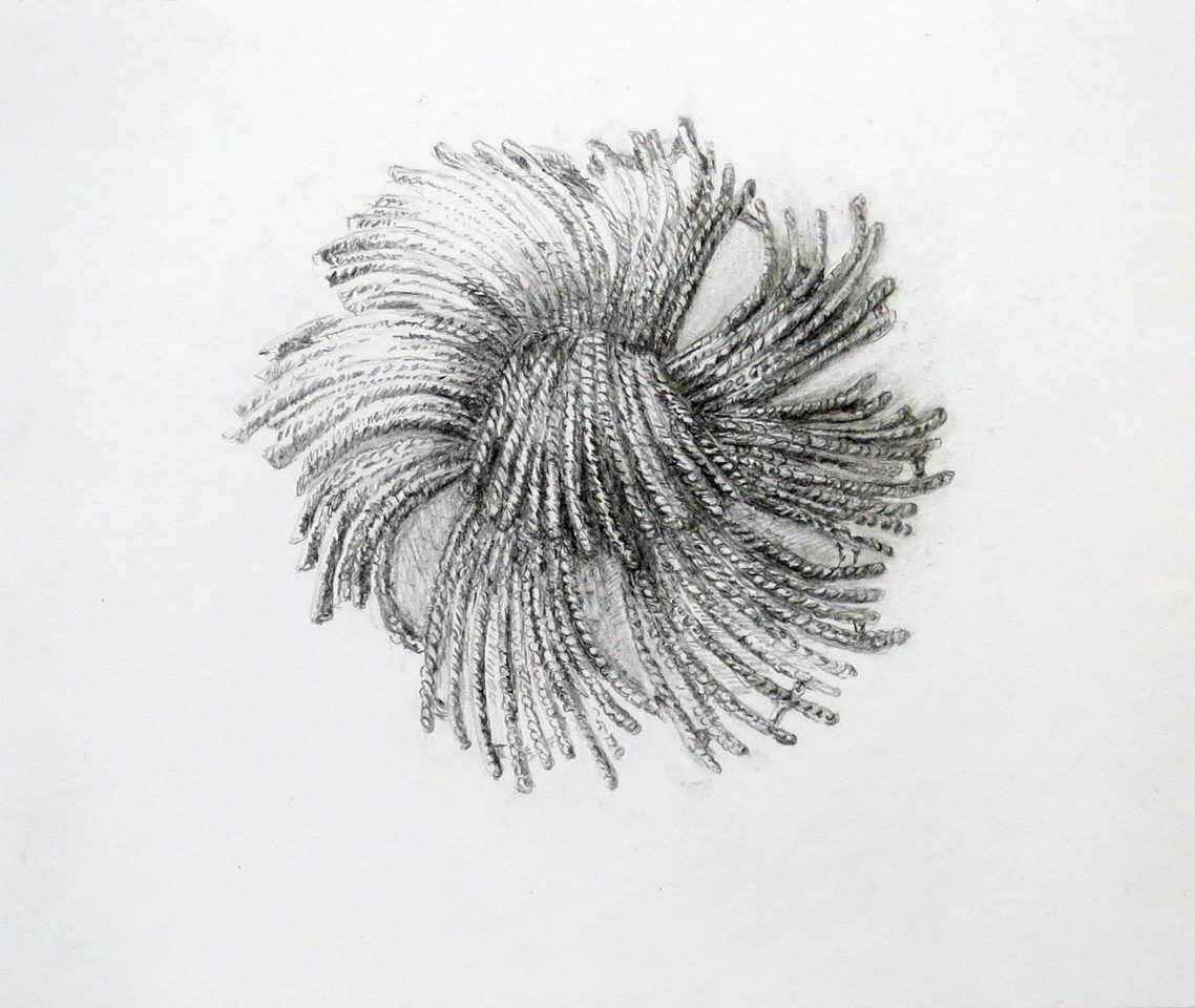 Brieke Drost hairy 19 x 23 cm potlood/papier zonder lijst