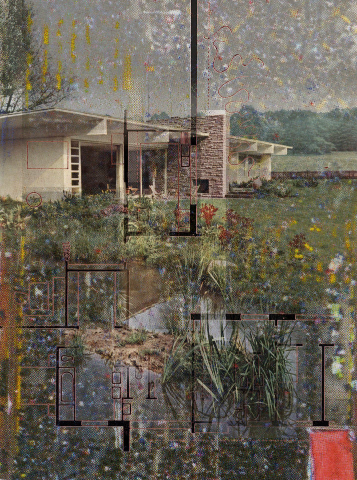 232 - Wim Bosch - Arrangement series_’Country house with natural pool’