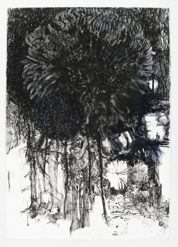 Emmy Bergsma Places of sense, my first dahliagarden [1] 75 x 100 cm houtskool, pastel op papier